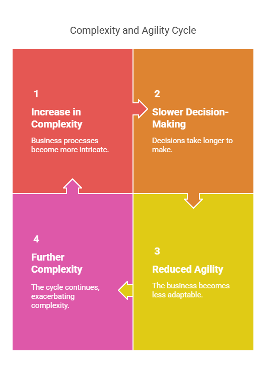 Complexity and agility cycle